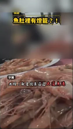 短影音的直式標題與字幕預覽